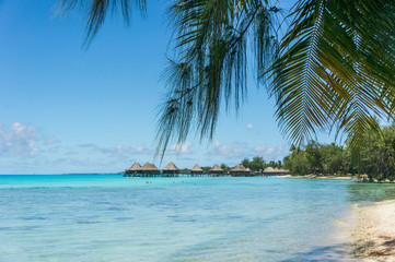 Naklejka na ściany i meble Paradise view of Rangiroa atoll, French Polynesia