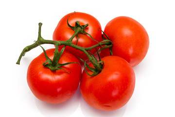 Strauchtomaten
