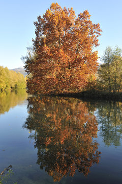 Autunno sul fiume Adda a Brivio, Lecco