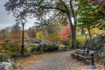 Fototapeta premium Gapstow bridge Central Park, New York City