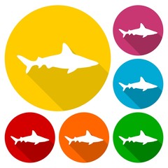 Shark icons set with long shadow