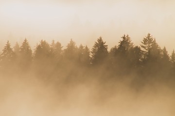 Colorful morning at the end of summer. Colorful summer morning with golden light and striped fog between hills