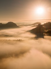 Fototapeta premium Autumn sunset view over forest to fall colorful valley full of dense mist colored with hot sun rays