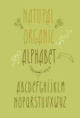 decorative vector alphabet and floral elements