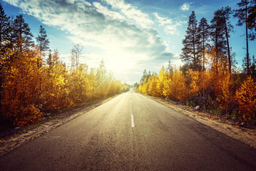 Fototapeta premium road in autumn mountains