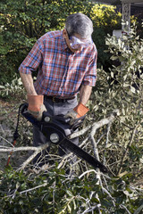 Obraz premium Closeup of Man Cutting Tree Branches with Chainsaw