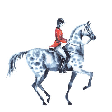 Watercolor rider and dapple grey horse on white. Horseman in red jacket on stallion. England equestrian sport. Hand drawing illustration.