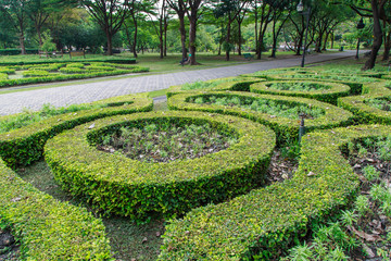 walkway view, Botanical garden