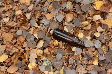 Glass bottles in nature