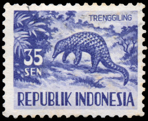 Stamp printed in Indonesia, shows Manis javanica