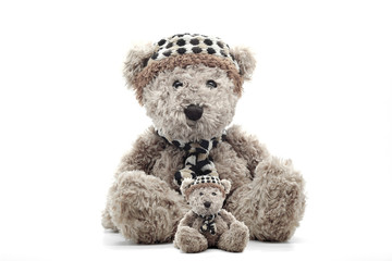 Brown teddy bear isolated in front of a white background