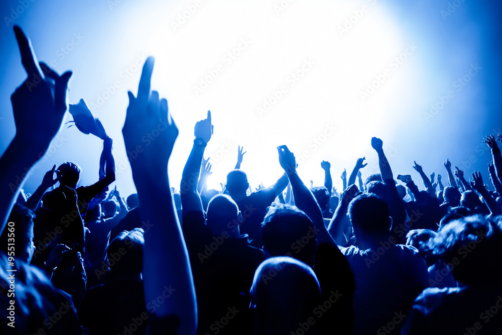 Wall mural cheering crowd at a rock concert