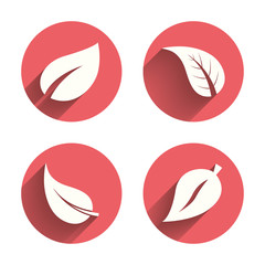Leaf icon. Fresh natural product symbols.