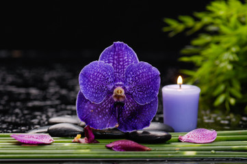 Obraz na płótnie Canvas Purple orchid with long stem and stones ,candle on wet background