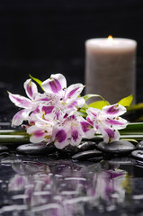 Beautiful orchid with candle and therapy stones 