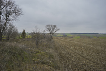 desolate landscape with ruins on a cloudy day