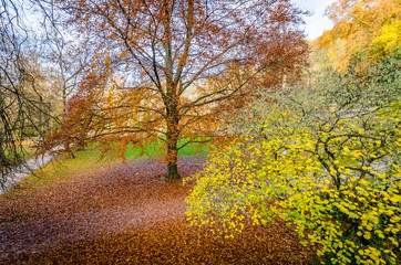 Fototapeta premium Heidelberg