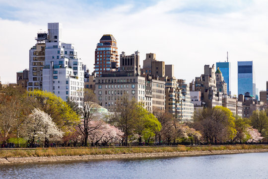 New York City Central Park Spring Landscape Scene