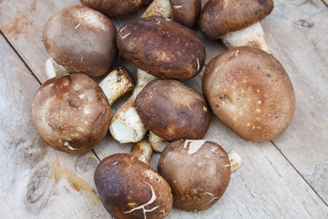 Shiitake mushroom on wooden table