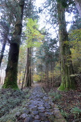 Obraz premium 日光二荒山神社 滝尾道