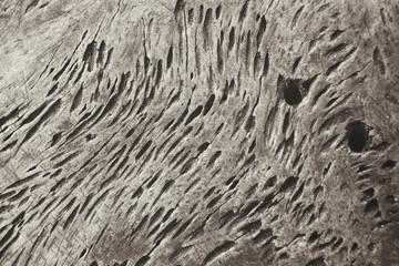 Vintage wood background