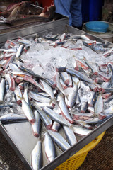 Fresh fish at asia market