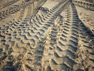 Wheel tracks on the soil.