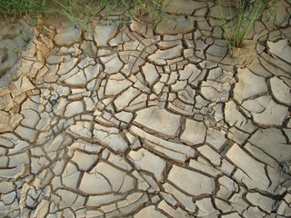 Cracked dry soil