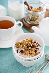 Homemade granola with quinoa and cranberry