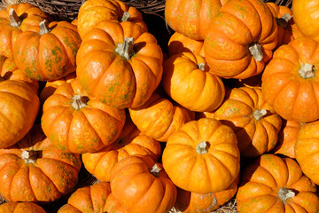 Small Pumpkins Stacked On Top Of Eachother