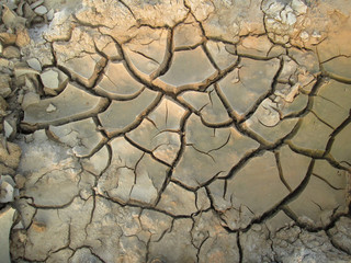 Cracked dry soil