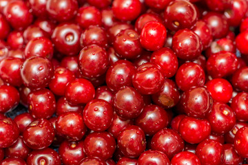 Background made of the cherries