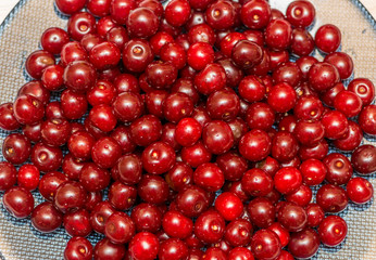 Background made of the cherries
