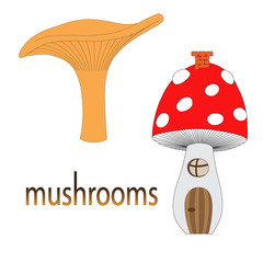 Set of mushrooms isolated on white background 