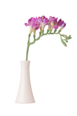 Vase with orchid flower isolated on white