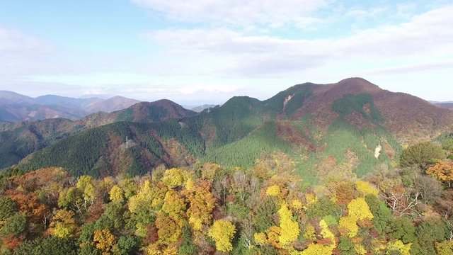 紅葉空撮_01
