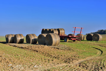Obraz premium campagne en automne