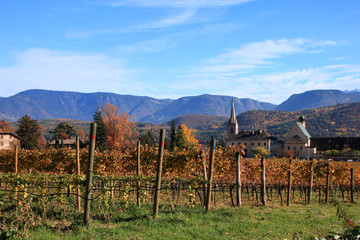 Autunno a Caldaro sulla strada del Vino, Alto Adige Sud Tirol