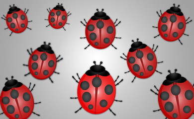 Fototapeta premium Ladybug Abstract Illustration