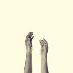 toned image of female hands raised up, isolated