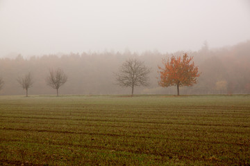 Landschaft im Herbst