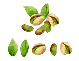 Pistachio nuts isolated on white background
