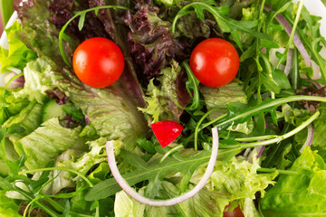 Happy salad, face made with healthy organic vegetables