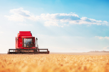 Combine harvesting wheat and cloudscape