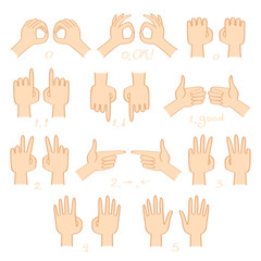Hands (left and right) show numbers and directions vector set