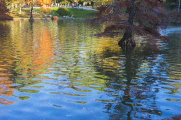 lake with reflections on water autumn
