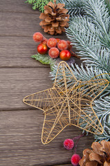 Christmas fir tree branch