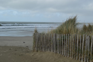 Plage & dunes