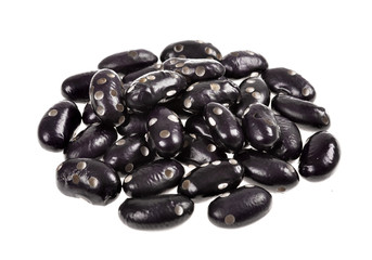 riddled  bean -Bean weevil (Bruchidae)   ,isolated on white background.