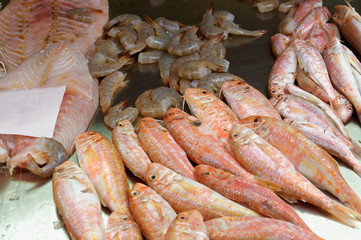 Fresh fish of Mediterranean cooking  on the shelves